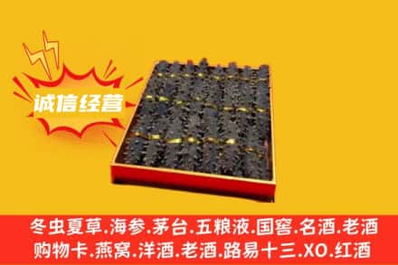 巢湖回收海参