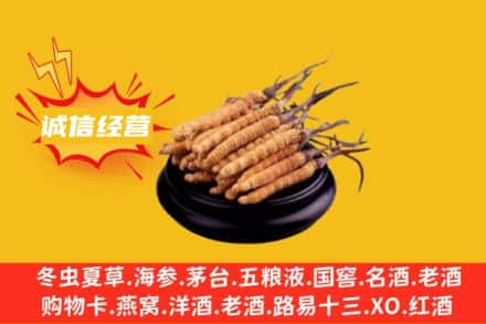 巢湖回收冬虫夏草